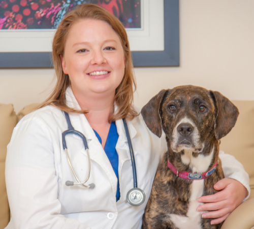 Who We Are - Knightdale Animal Hospital