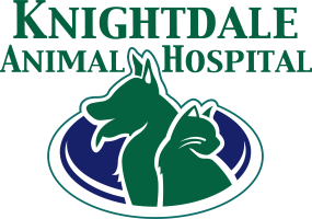 Knightdale, NC Veterinary Hospital - Knightdale Animal Hospital