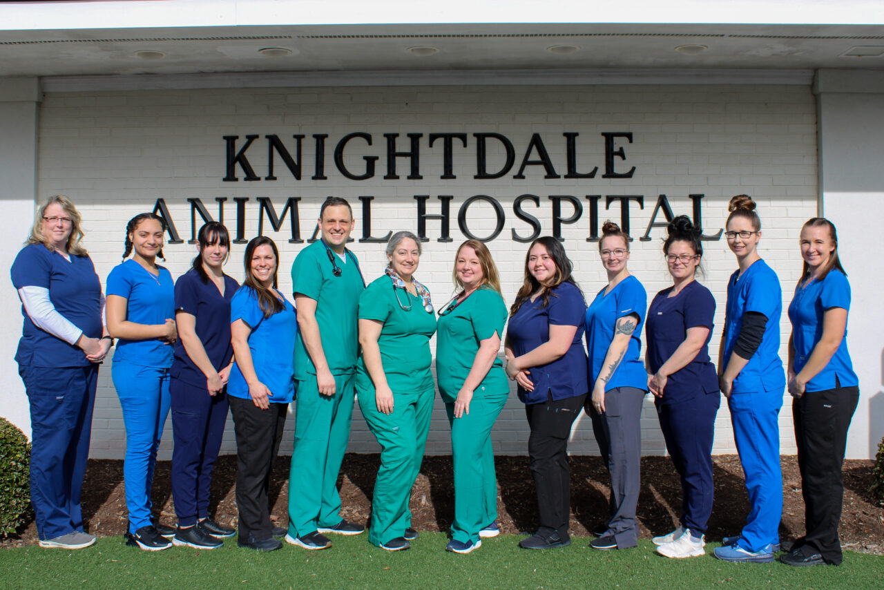 Who We Are Knightdale Animal Hospital